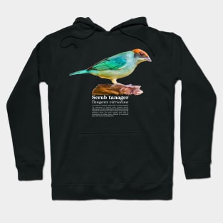 Scrub tanager tropical bird white text Hoodie